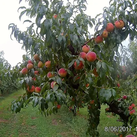 Il Fontanile